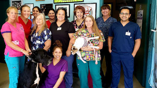 Circle of Life Animal Hospital