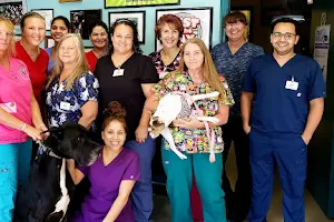 Circle of Life Animal Hospital image