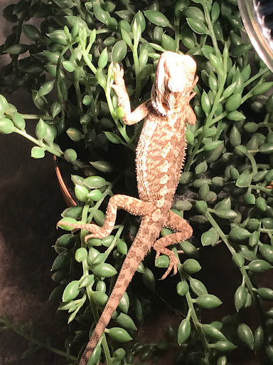 Pet Supply Store «PetSmart», reviews and photos, 20 W University Pkwy, Orem, UT 84058, USA