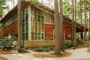 Maple Valley Library image