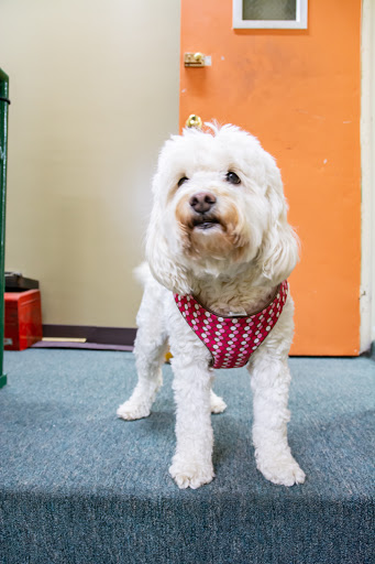 Pawn Shop «Alpha Gold Exchange Inc», reviews and photos, 2201 E Monument St, Baltimore, MD 21205, USA