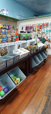 Bernal Beast - Photo 3 - Car repair in San Francisco, CA, San Francisco