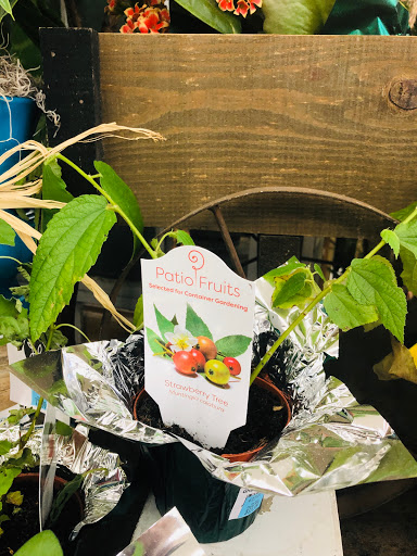 Supermarket «Hy-Vee», reviews and photos, 2453 N Court St, Ottumwa, IA 52501, USA