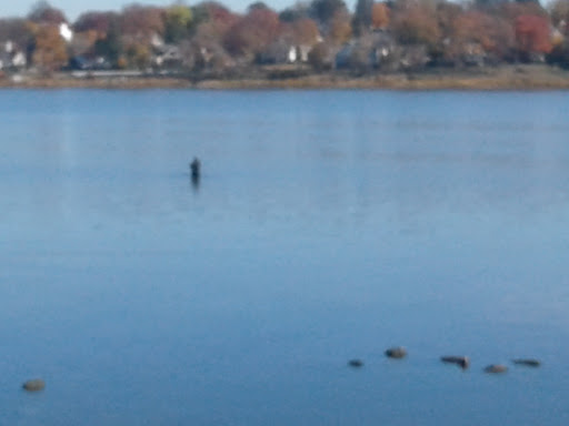 Park «Crocheron Park», reviews and photos, 214-41 34th Ave, Bayside, NY 11361, USA