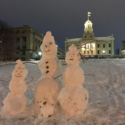 Public University «The University of Iowa», reviews and photos