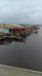 Photo n°17 de Centre Conchylicole à Leucate ()