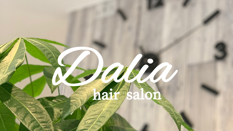 Dalia hair salon ダリア (釧路 美容室)