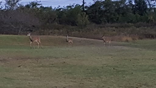 Golf Driving Range «Riverside Golf Center», reviews and photos, 640 Old Hickory Blvd, Old Hickory, TN 37138, USA