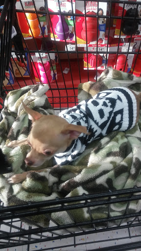 Pet Supply Store «Petco Animal Supplies», reviews and photos, 551 W Hampden Ave, Englewood, CO 80110, USA