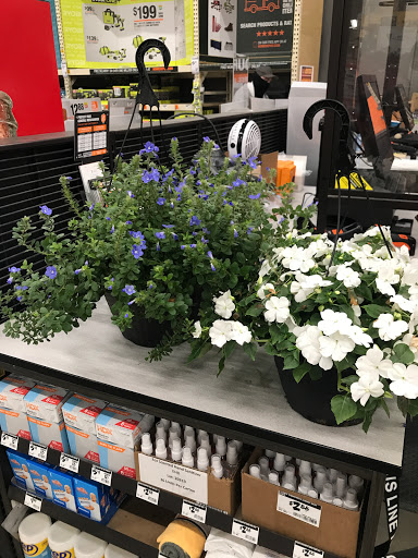 Home Improvement Store «The Home Depot», reviews and photos, 11001 Pines Blvd, Pembroke Pines, FL 33026, USA