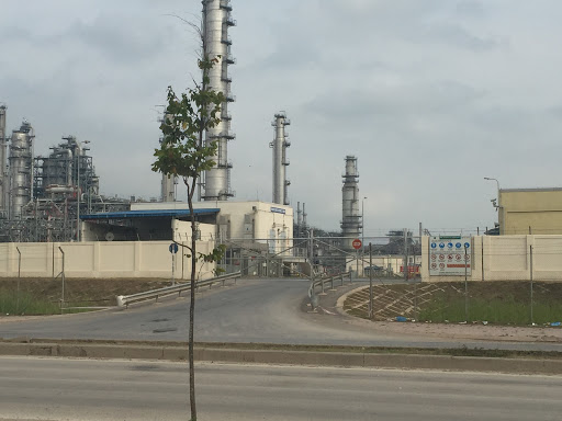 Top 20 cửa hàng homefood Huyện Tĩnh Gia Thanh Hóa 2022