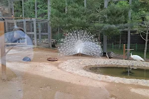 Ulsan Grand Park Zoo image