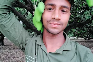 Akash Pal's Mango Garden image