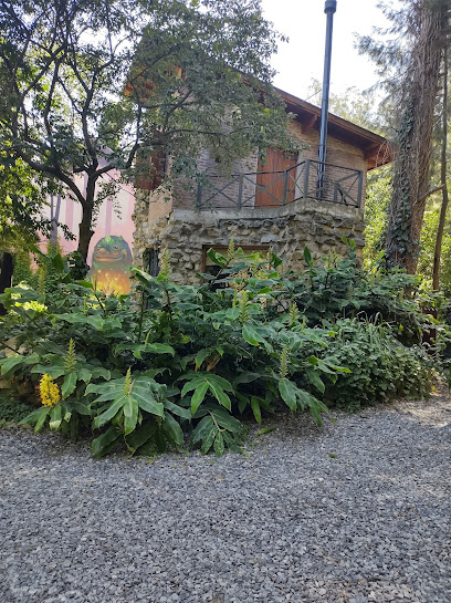 Cabañas Arehue / Clumahue Lodge