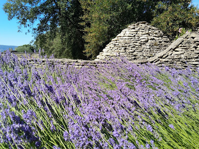 Jardinage / Bricolage (Création, éclairage, arrosage, entretien de jardin ...) à Cheval-Blanc