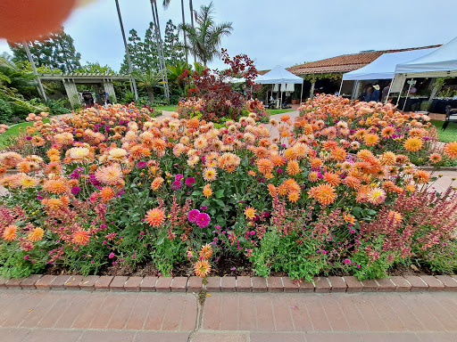 Sherman Library & Gardens image