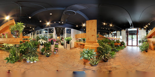 Florist «Allan Woods Flowers», reviews and photos, 2645 Connecticut Ave NW, Washington, DC 20008, USA