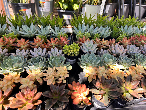 Home Improvement Store «The Home Depot», reviews and photos, 975 S De Anza Blvd, San Jose, CA 95129, USA