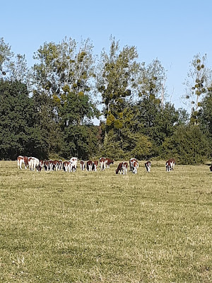 Ferme La Porte aux Moines à Beaufort-en-Vallée