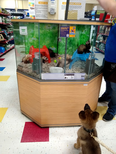 Pet Supply Store «Petco Animal Supplies», reviews and photos, 3264 Buford Dr NE #110, Buford, GA 30519, USA