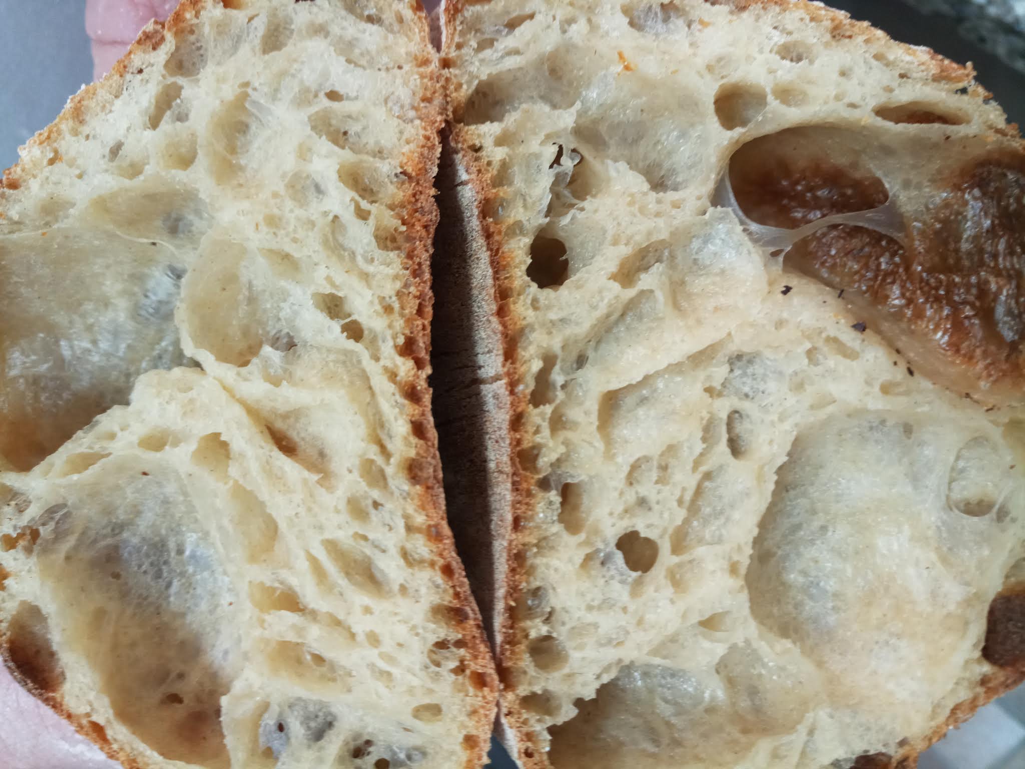 Photo n° 3 de l'avis de Pouchkar.l fait le 24/04/2019 à 18:29