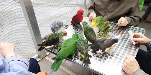 Papageien Park Bochum - Heike Mundt GmbH unter Bochum, 