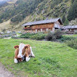 Photo n°1 de l'avis de Marcus.r fait le 12/09/2022 à 19:41 sur le  Bergalm à Val di Mezzo