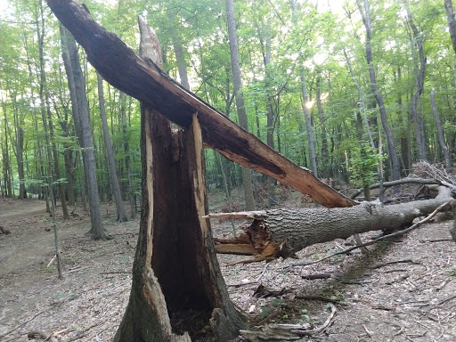 Park «Cleveland Metroparks», reviews and photos, 1969 W Ridgewood Dr, Cleveland, OH 44134, USA