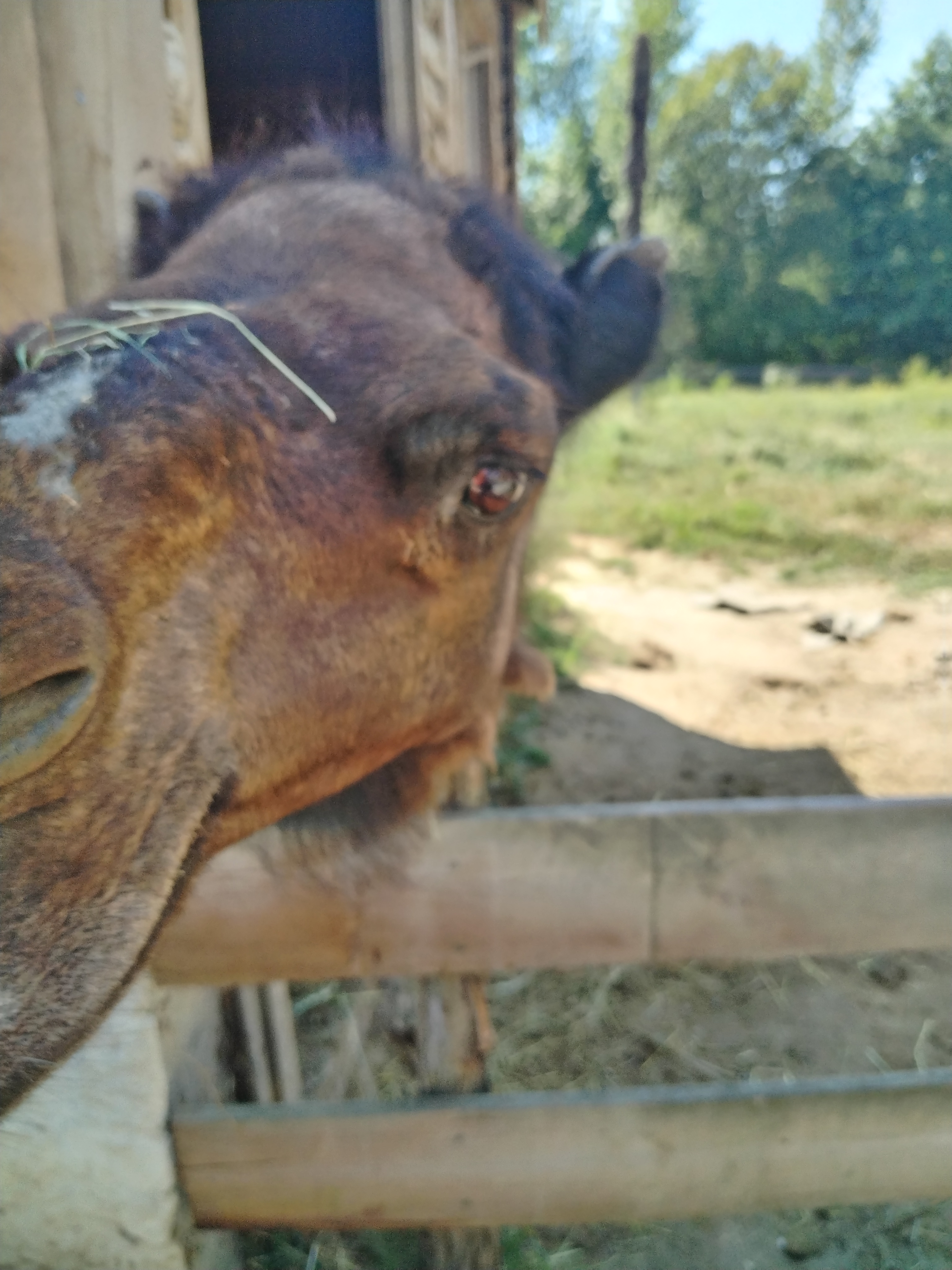 Photo n° 2 de l'avis de Nelly.h fait le 19/08/2023 à 14:28