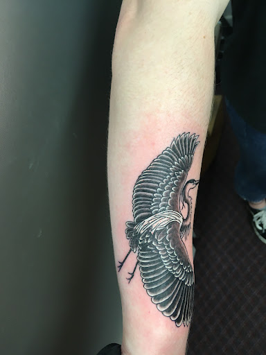 Explore butterfly tattoo cover up ideas, creative tattoo ideas in Eureka Springs, available at Sailors Luck Tattoo