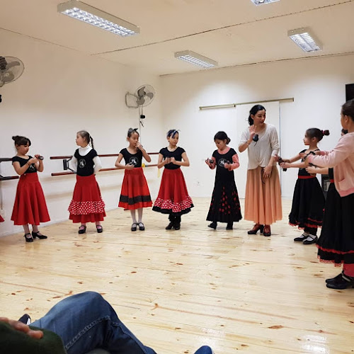 Academia Internacional de Danza y Arte - Polzoni Garcia - Escuela de danza