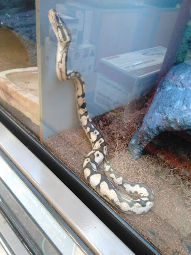 Pet Supply Store «Petco Animal Supplies», reviews and photos, 313 Homer M Adams Pkwy, Alton, IL 62002, USA