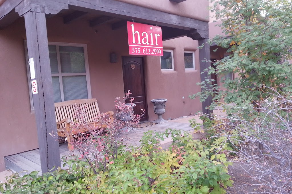 Hair 87571