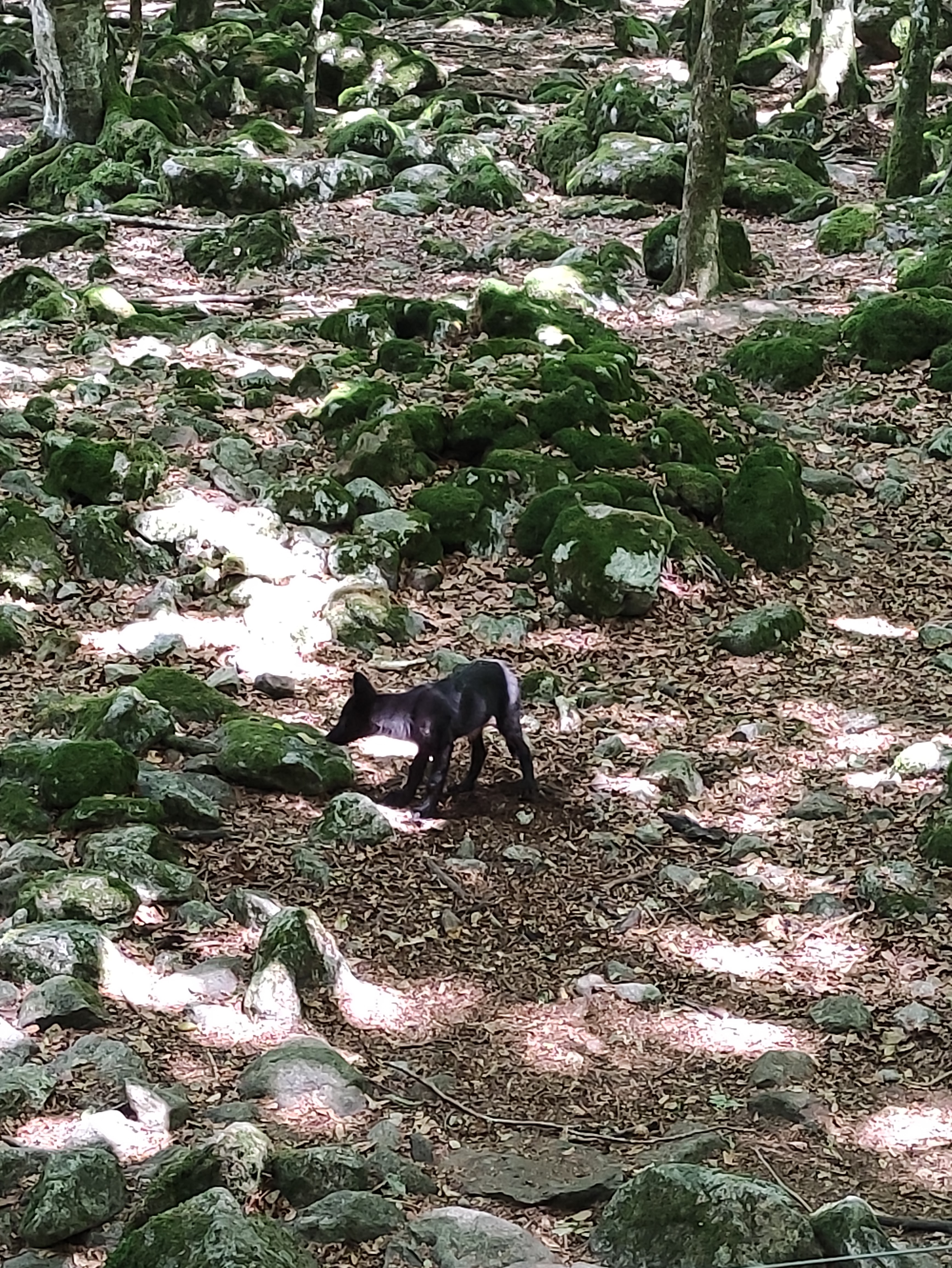 Photo n° 2 de l'avis de Claire.U fait le 13/08/2022 à 18:14