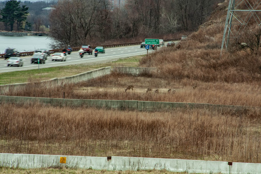 Park «Sprain Ridge Park», reviews and photos, 149 Jackson Ave, Hastings-On-Hudson, NY 10706, USA