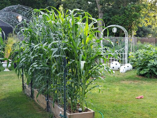 Health Food Store «Vineyard Grocer», reviews and photos, 294 State Rd, Vineyard Haven, MA 02568, USA