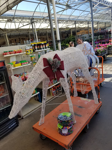 Home Improvement Store «The Home Depot», reviews and photos, 30144 US Hwy 19 N, Clearwater, FL 33761, USA