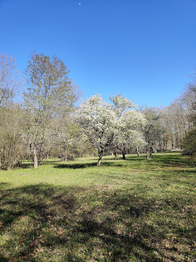 Nature Preserve «Wolf Rock Nature Preserve», reviews and photos, 251 Clover Mill Rd, Storrs, CT 06268, USA