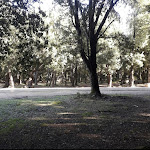 Photo n°2 de l'avis de Anna.a fait le 16/01/2022 à 07:31 sur le  Hotel Ristorante Pizzeria Bosco Selene à Lanusei