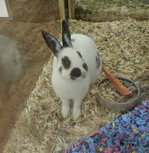 Pet Supply Store «Pet Supermarket», reviews and photos, 3316 Battleground Ave, Greensboro, NC 27410, USA