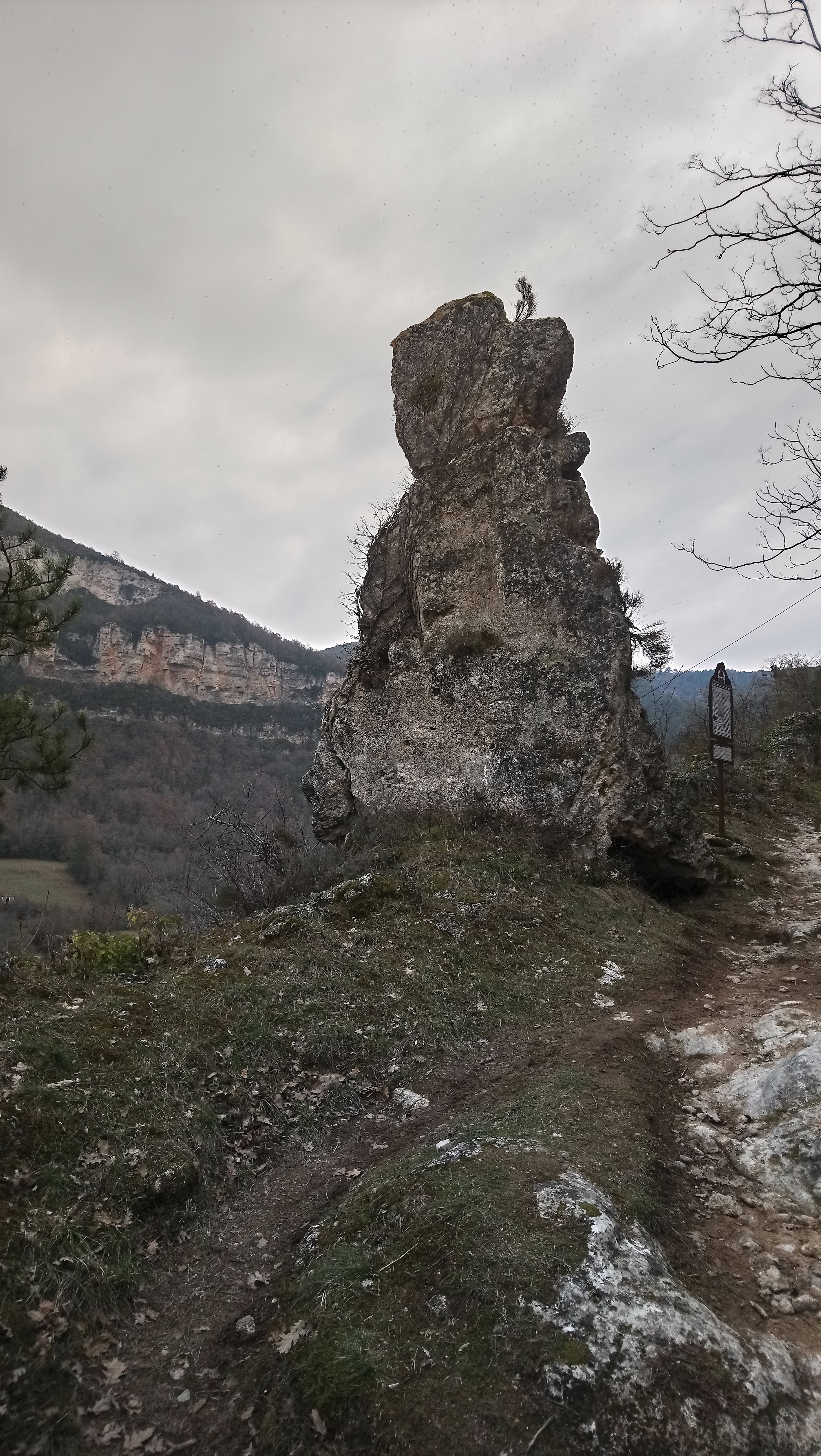 Photo n° 35 de l'avis de Philippe.E fait le 25/02/2018 à 16:42