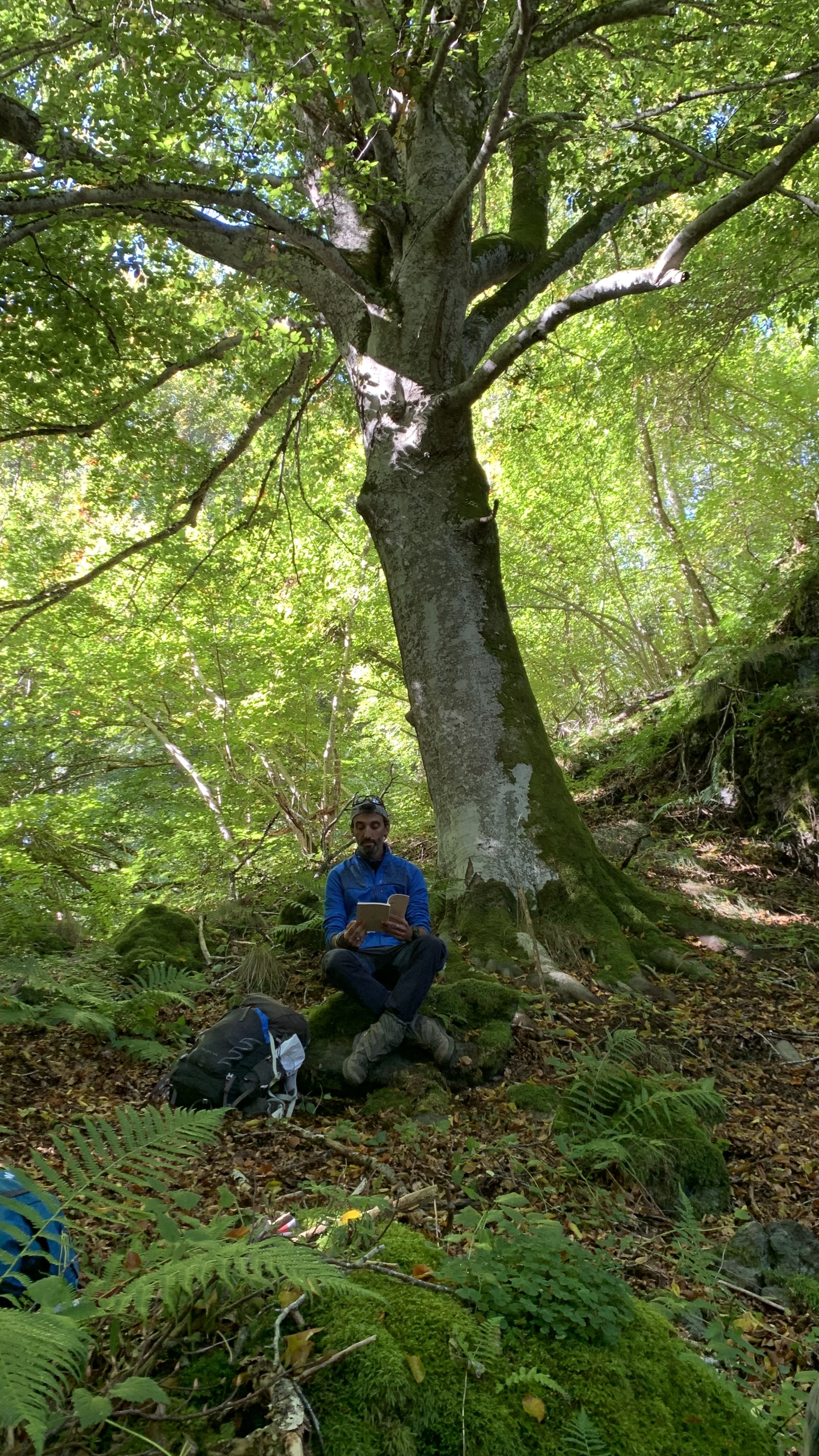 Photo n° 1 de l'avis de Jérémy.i fait le 11/10/2021 à 09:14