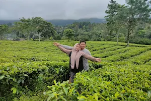 Cisarua Bogor Tea Garden image