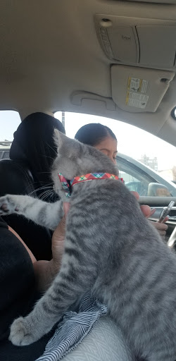 Pet Supply Store «Petco Animal Supplies», reviews and photos, 61-23 190th St, Fresh Meadows, NY 11365, USA