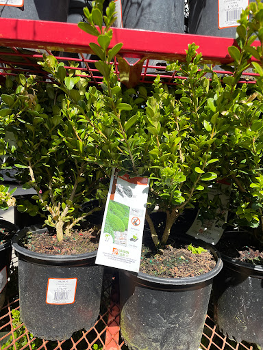 Home Improvement Store «The Home Depot», reviews and photos, 5410 Perkiomen Ave, Reading, PA 19606, USA