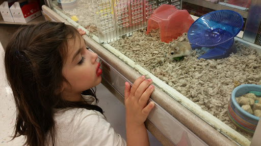 Pet Supply Store «Petco Animal Supplies», reviews and photos, 1951 N Military Trl c, West Palm Beach, FL 33409, USA