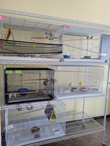 Pet Supply Store «Paw Shoppe Pet Center», reviews and photos, 6416 E Spring St, Long Beach, CA 90815, USA