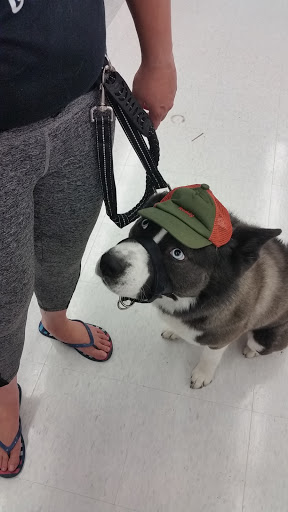 Pet Supply Store «Petco Animal Supplies», reviews and photos, 6280 S Westnedge Ave, Portage, MI 49002, USA