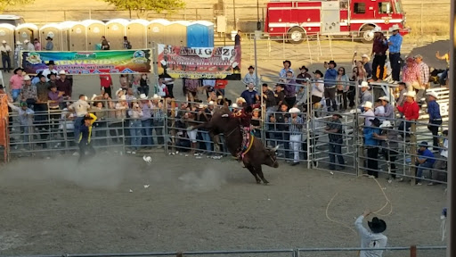 Fairground «Colusa County Fairgrounds», reviews and photos, 1303 10th St, Colusa, CA 95932, USA