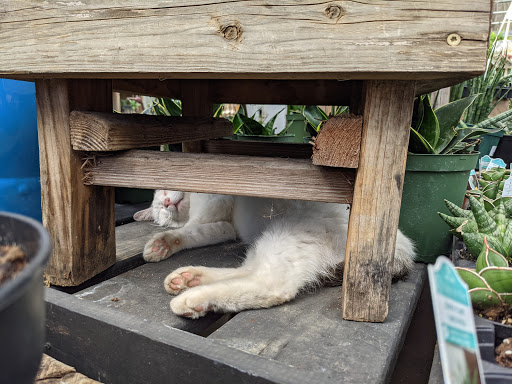 Plant Nursery «Martins Home & Garden», reviews and photos, 1020 NW Broad St, Murfreesboro, TN 37129, USA